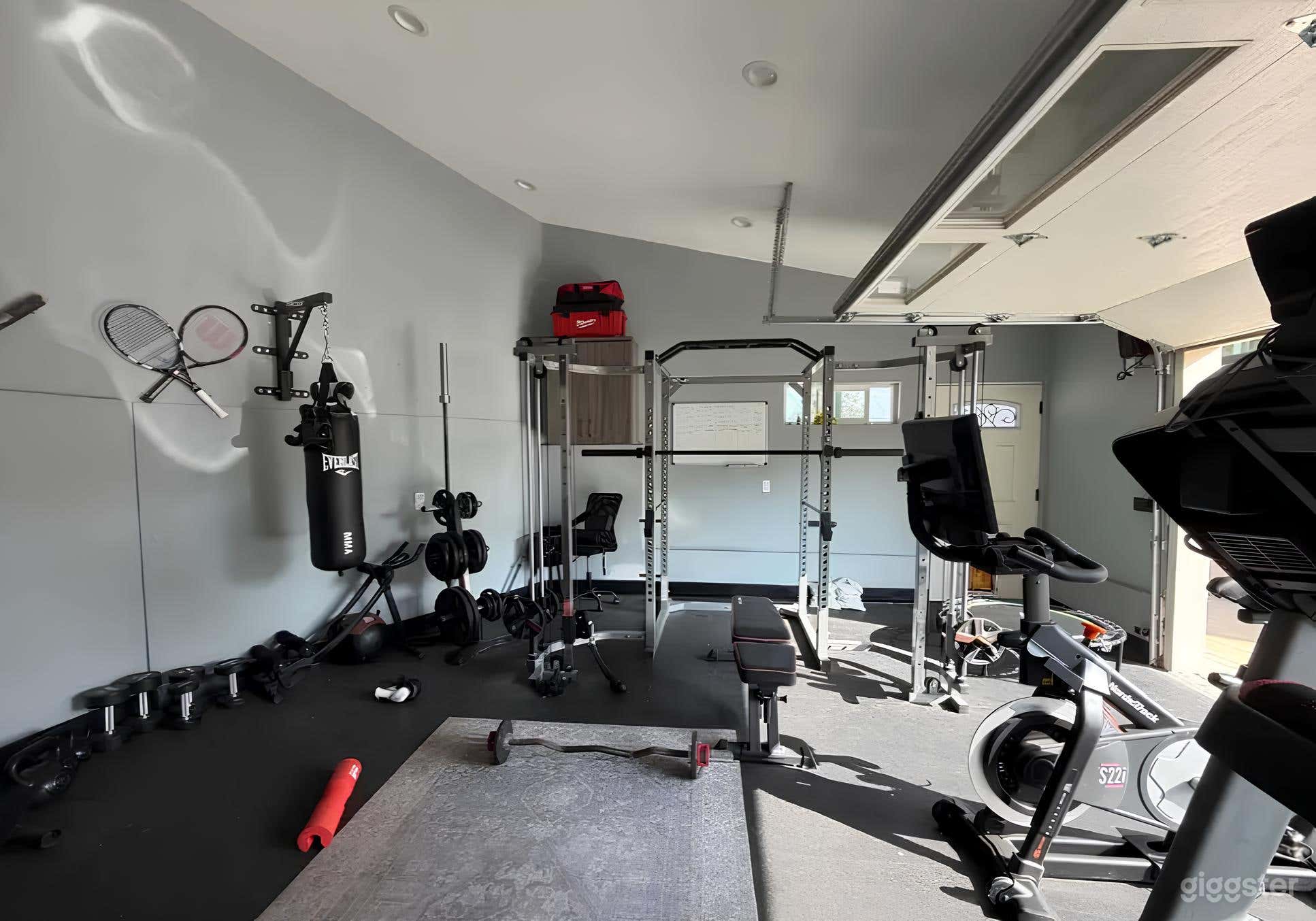 Fully Equipped Home Gym Photo 4