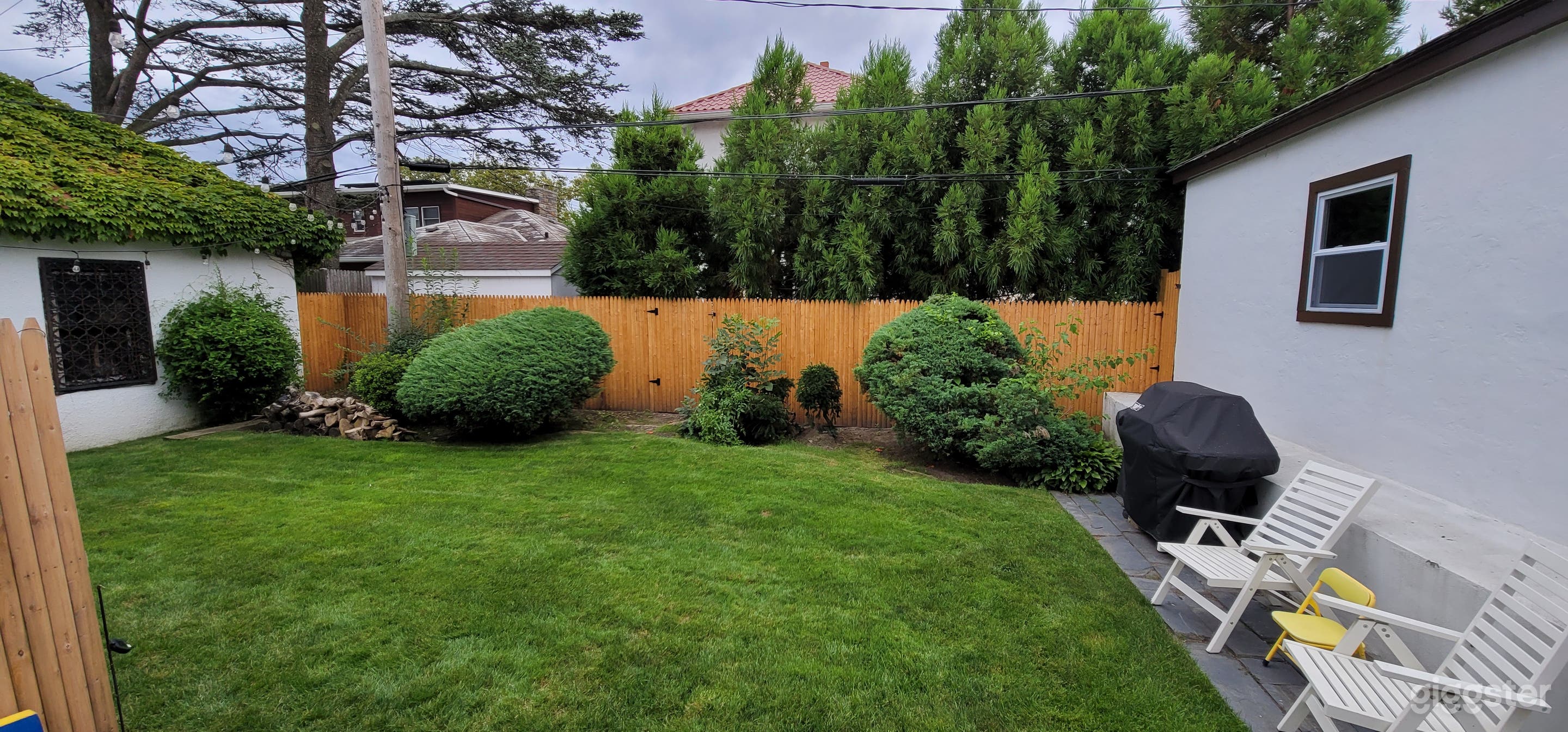 Part of the back yard.