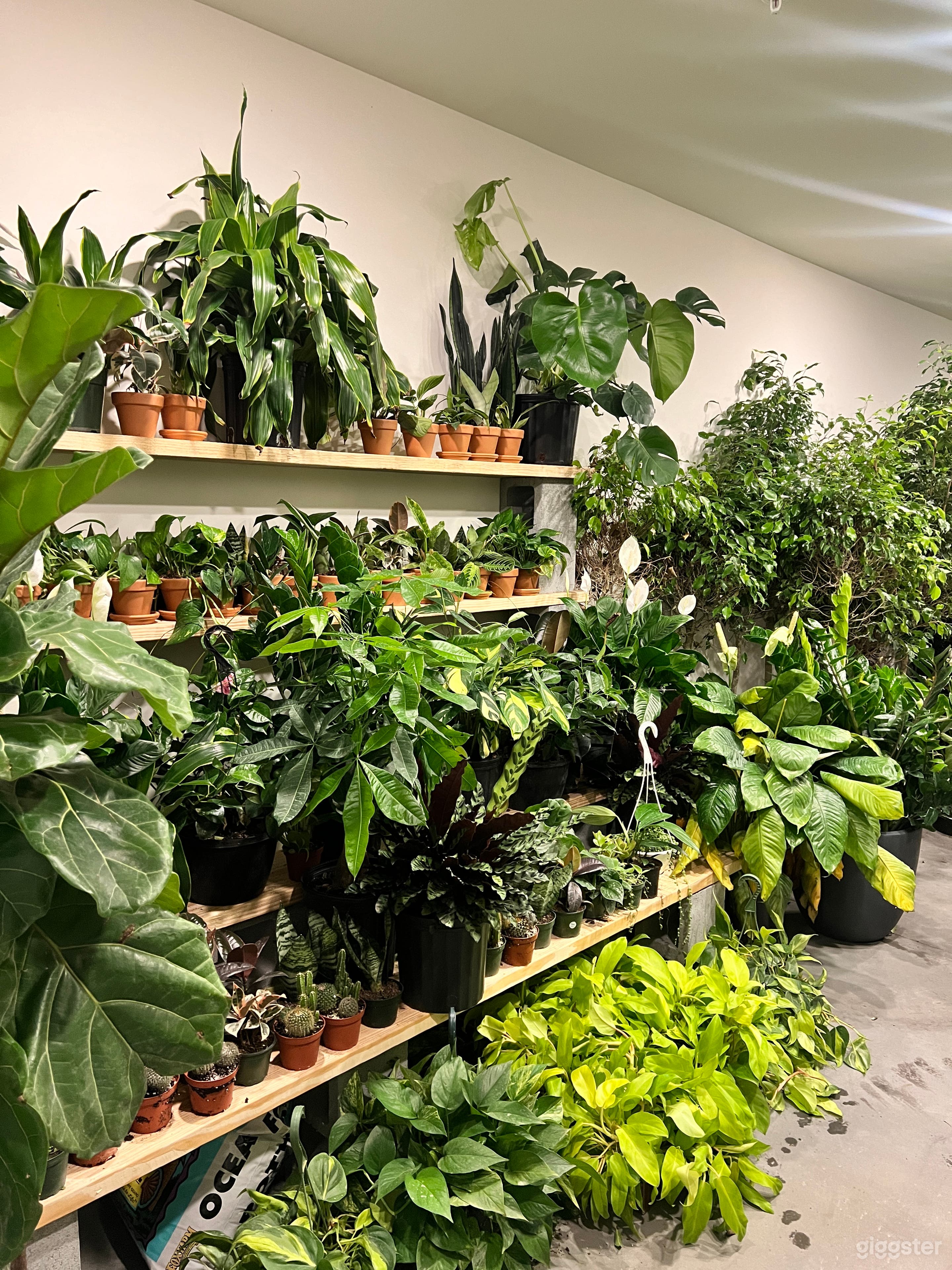 Tropical Paradise Photo 1