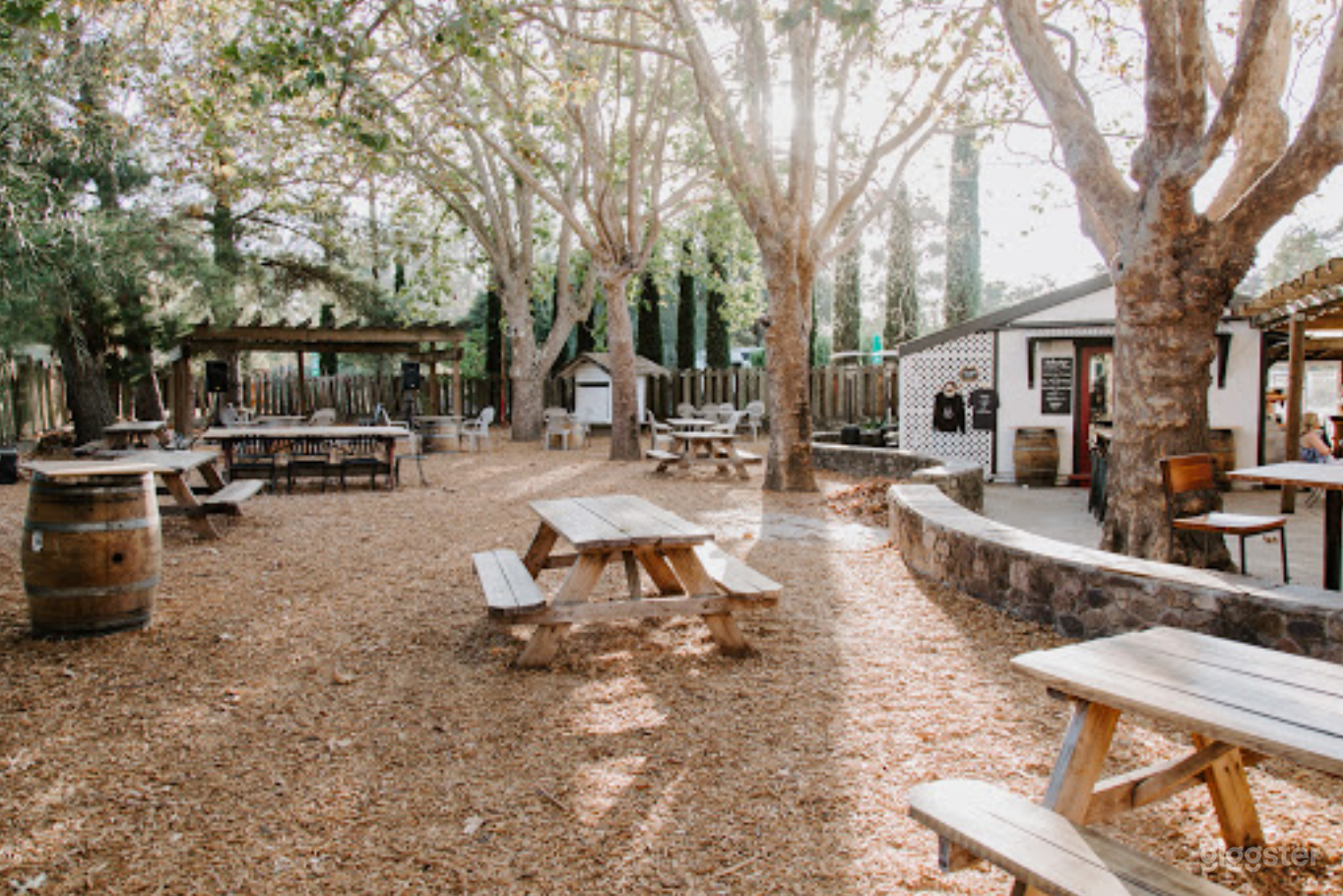 Kivelstadt Winery Buy-Out Photo 3