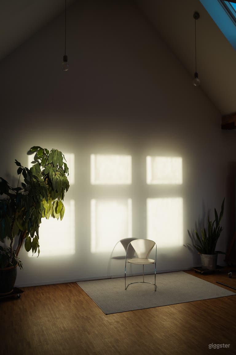  Tageslicht - Studio mit Dachterrasse 