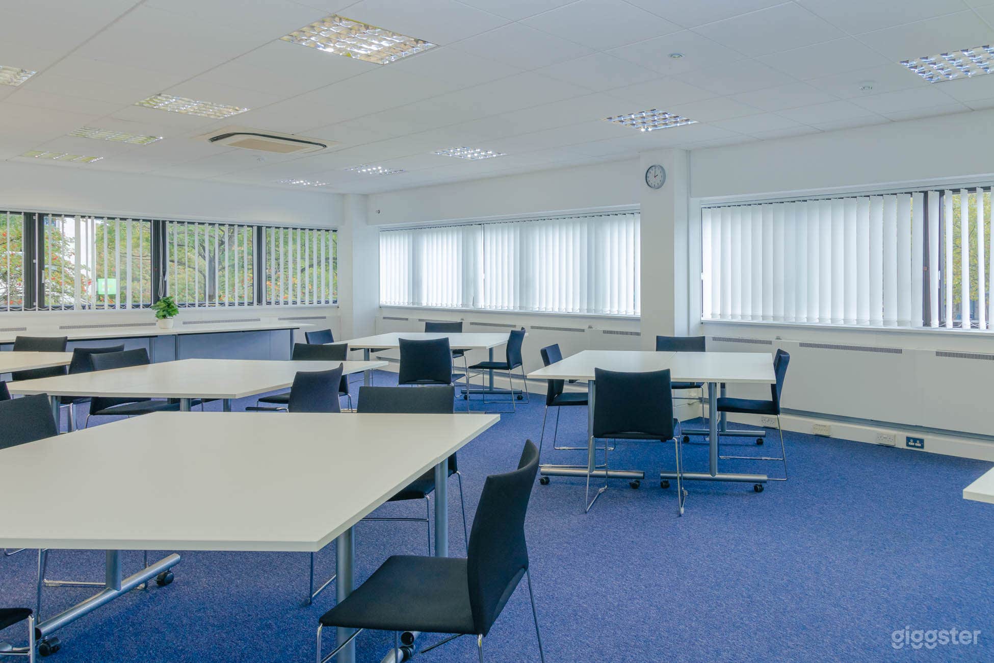 Malborough A Boardroom Good for 16 persons Photo 1