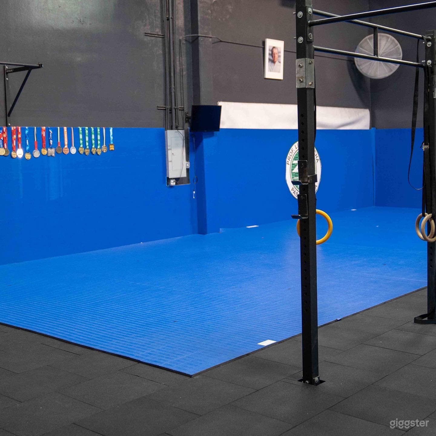 Pasadena Industrial Gym Fitness Center Photo 3