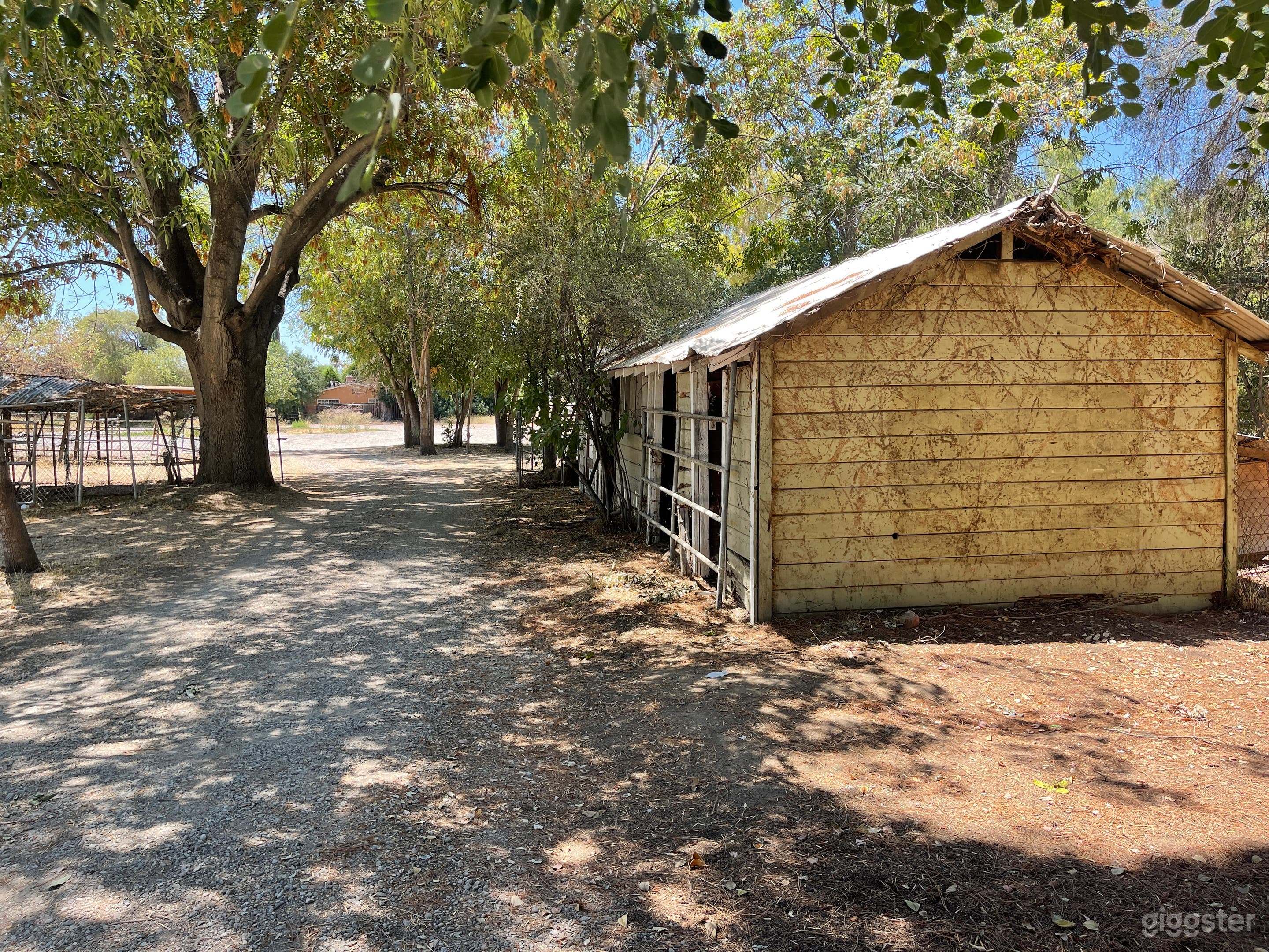 Multiple Abandoned Homes On One Property Photo 4