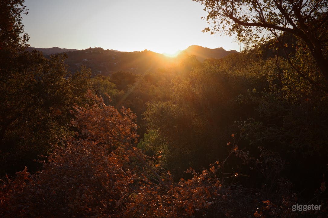 Dramatic Architecture Courtyard  Photo 2