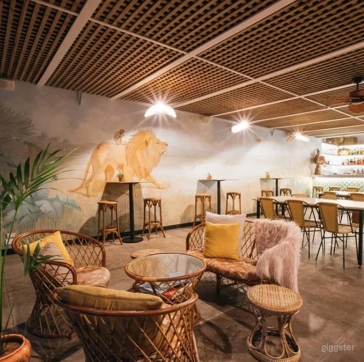 Inside Main Bar - Safari Inspired Bar in Gosford  Photo 1