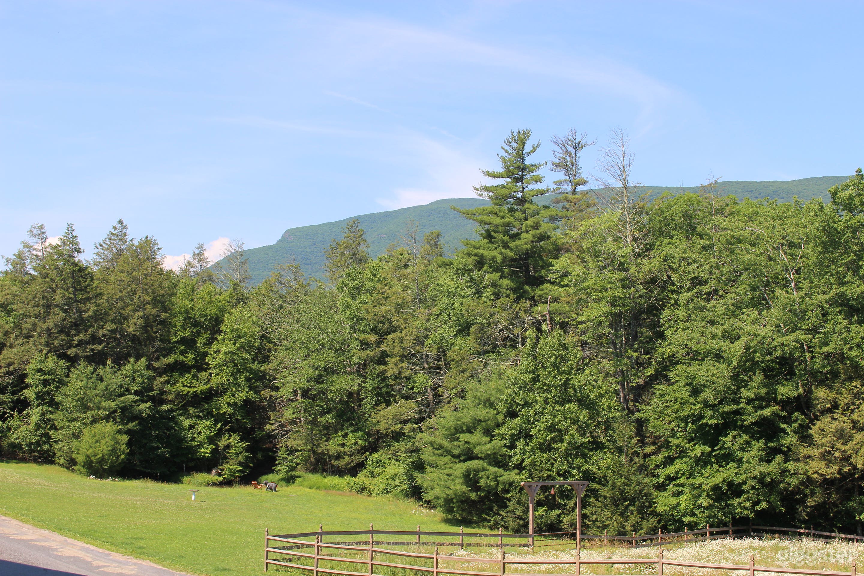 Upstate Farm with Animals, Lawn, Stream, Forest Photo 1