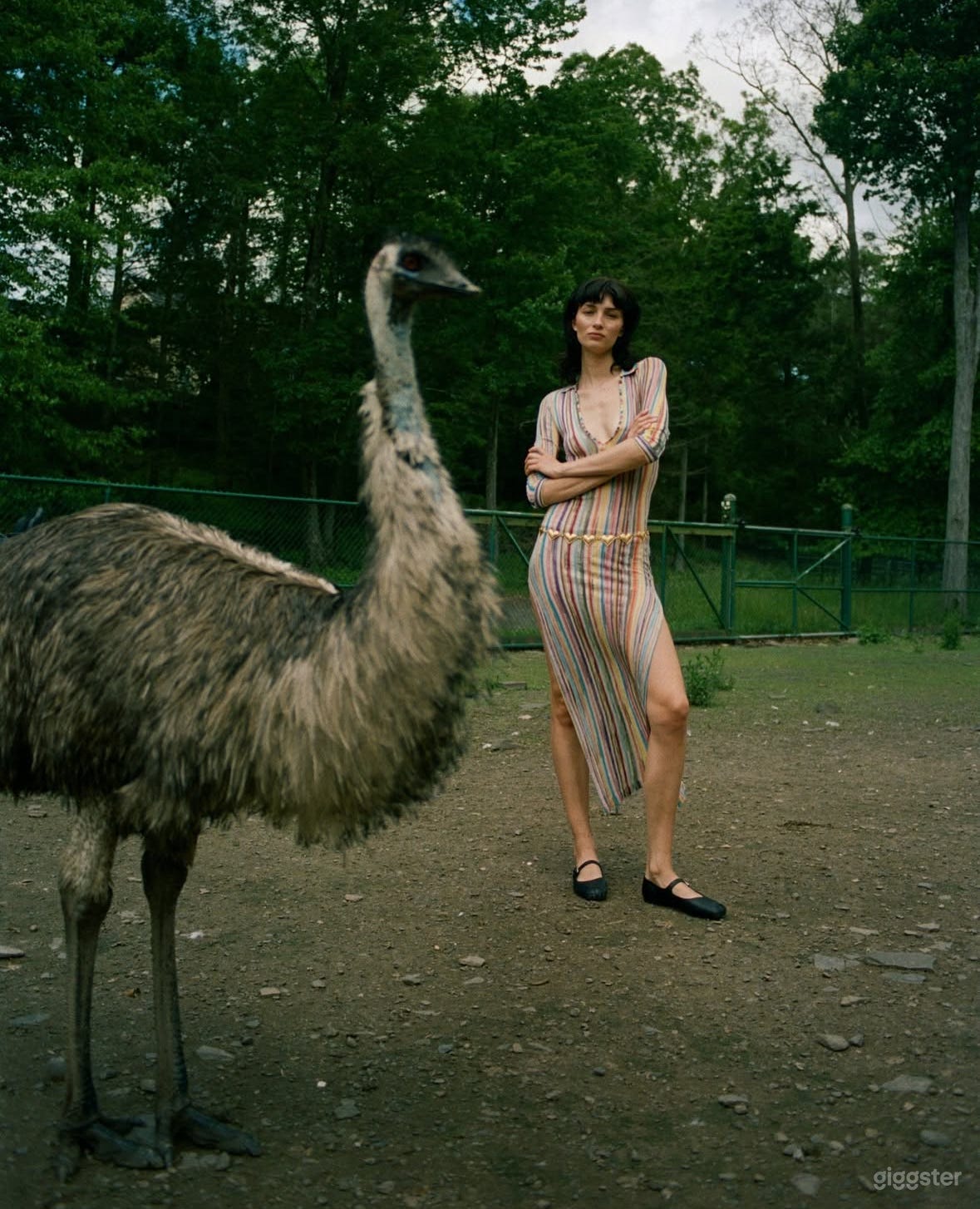 Upstate Farm with Animals, Lawn, Stream, Forest Photo 4