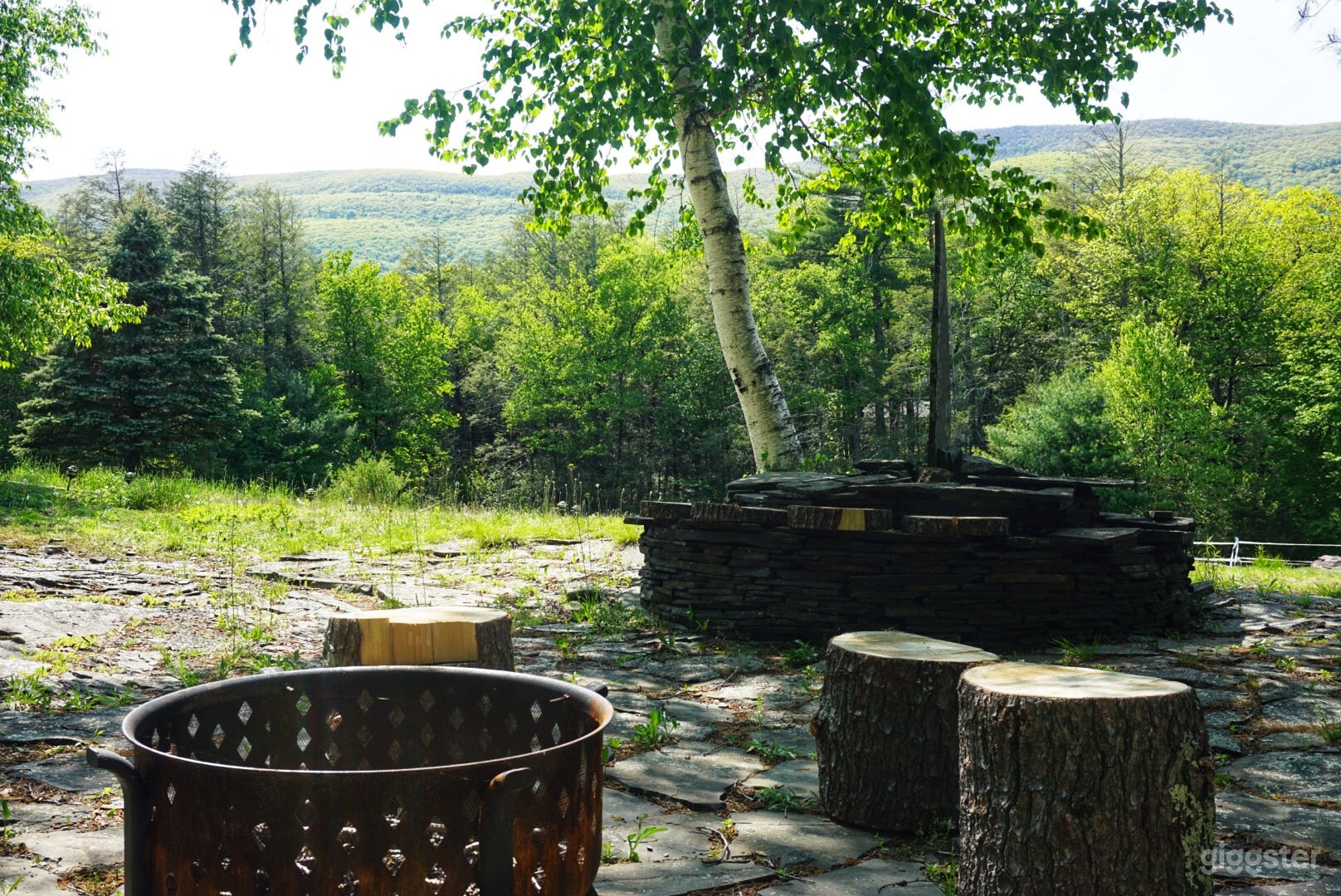 Upstate Farm with Animals, Lawn, Stream, Forest Photo 3