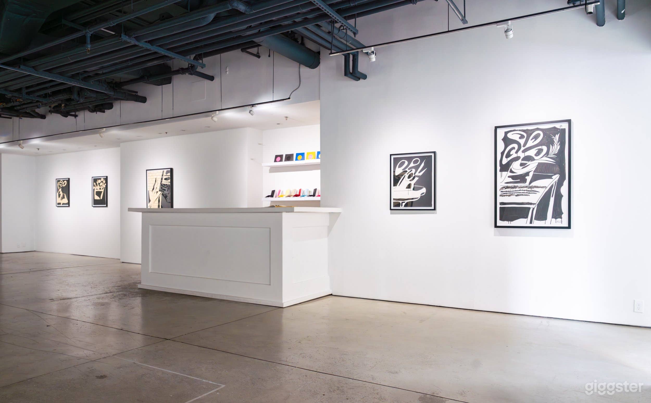 Distinctive Gallery in Chelsea NYC Photo 3