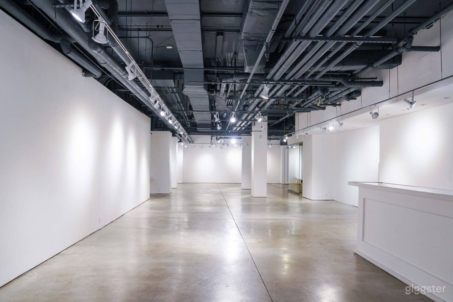 Distinctive Gallery in Chelsea NYC Photo 4