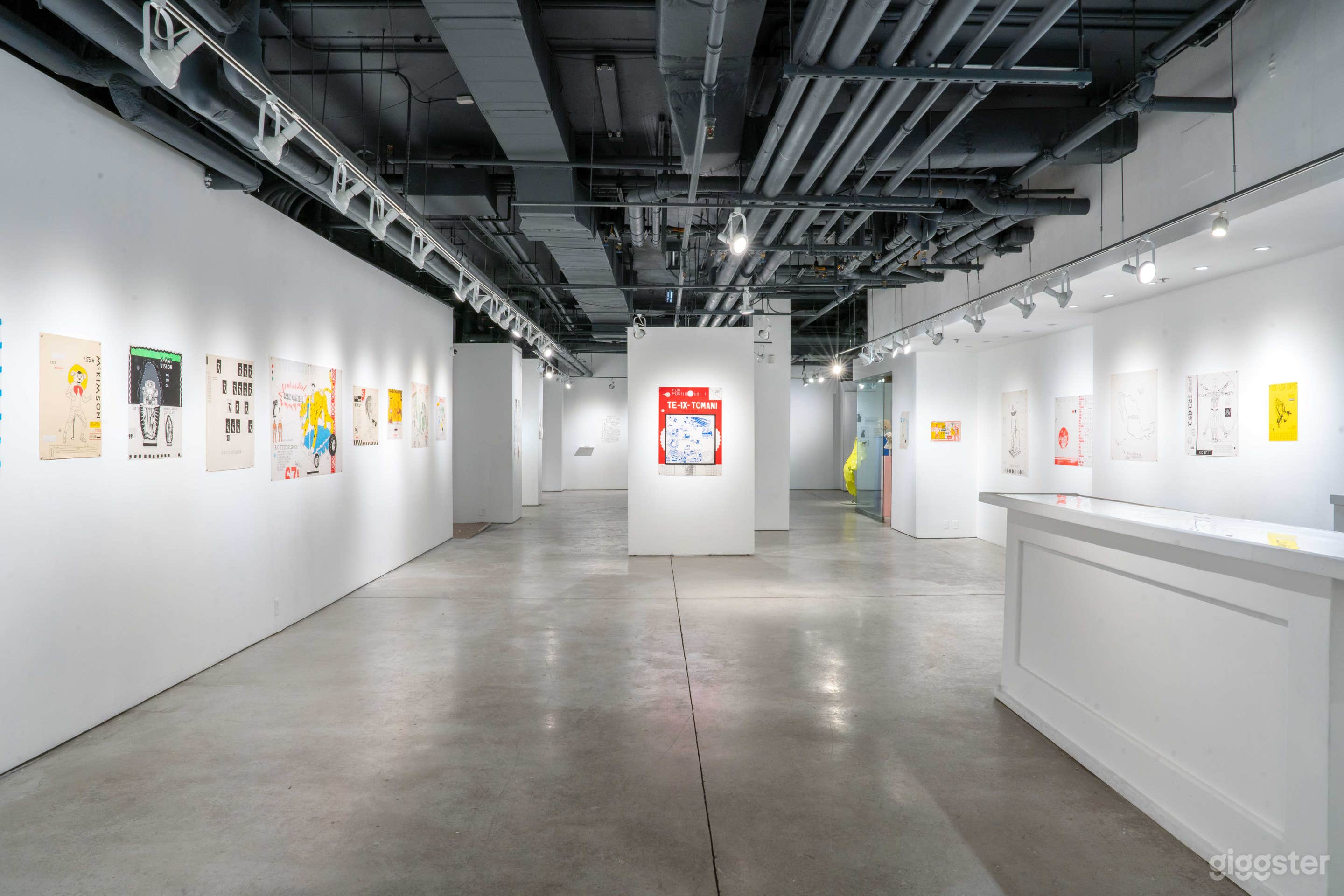 Distinctive Gallery in Chelsea NYC Photo 1