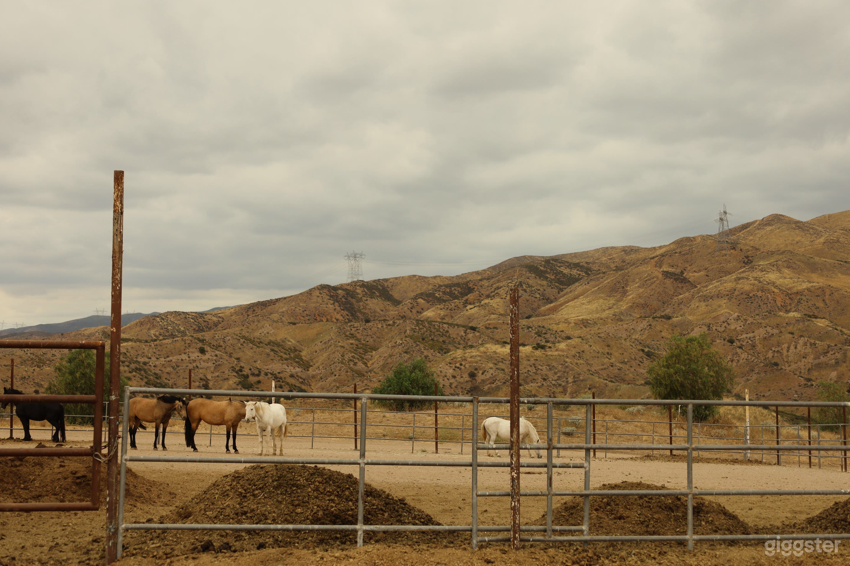 Private Western Ranch with Horses, Open Fields & Mountains Photo 4