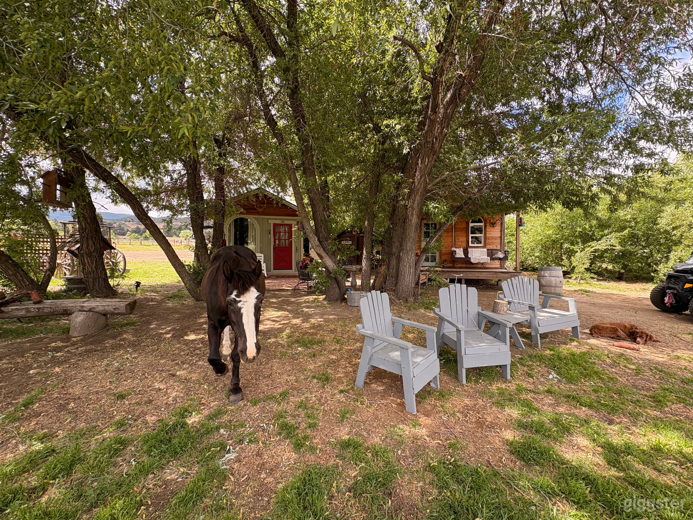 Haven Ranch… where life gets simple in the most magical way! Photo 1