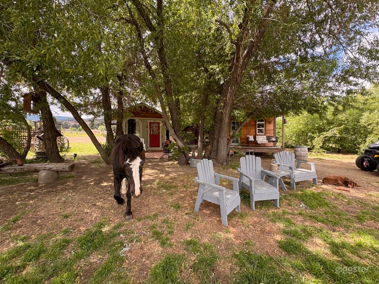  Haven Ranch… where life gets simple in the most magical way! 