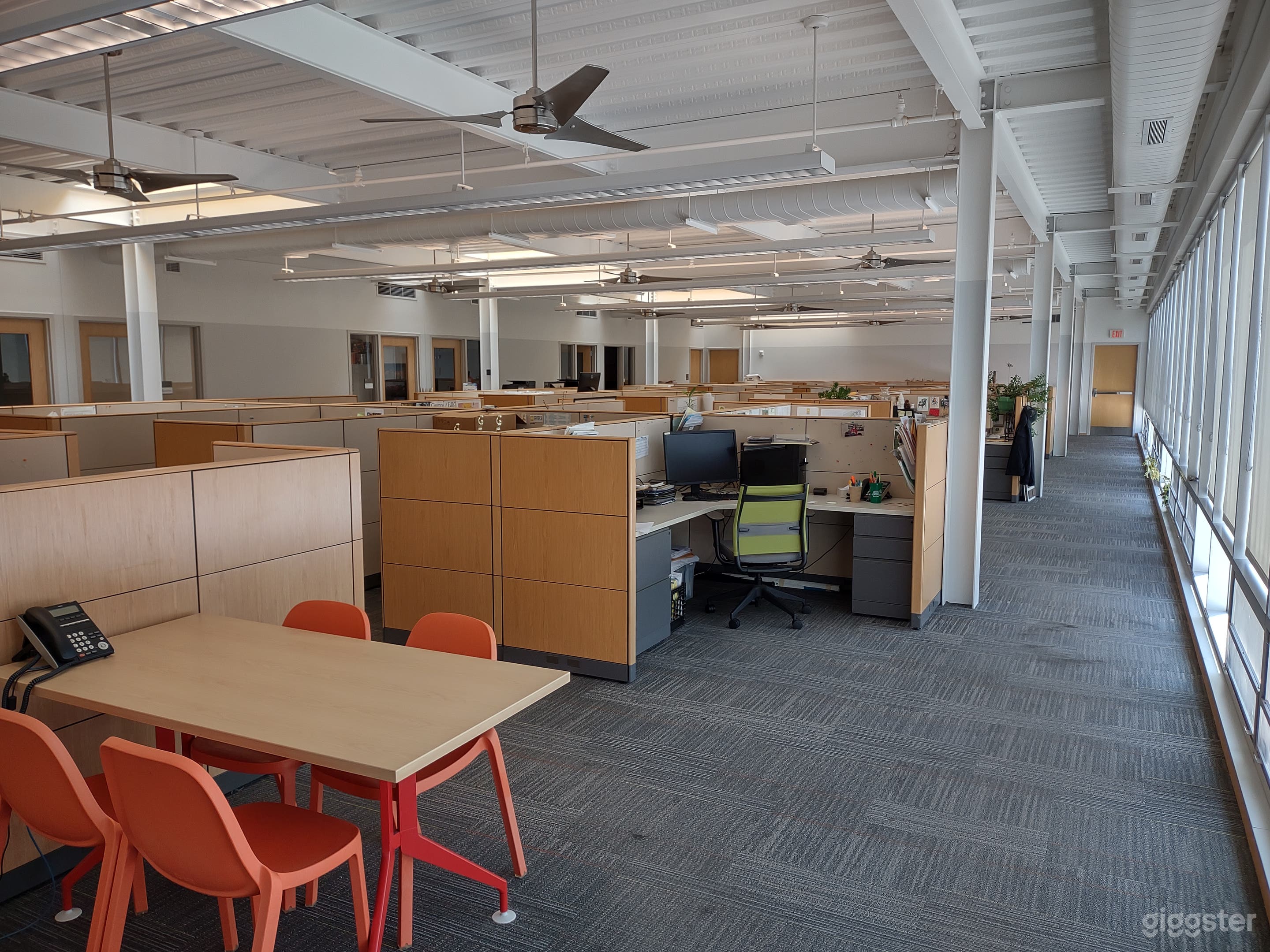 Wide View of Cubicles
