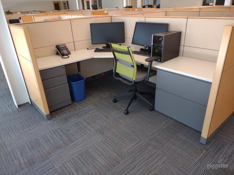  Window Wall Cubicle 