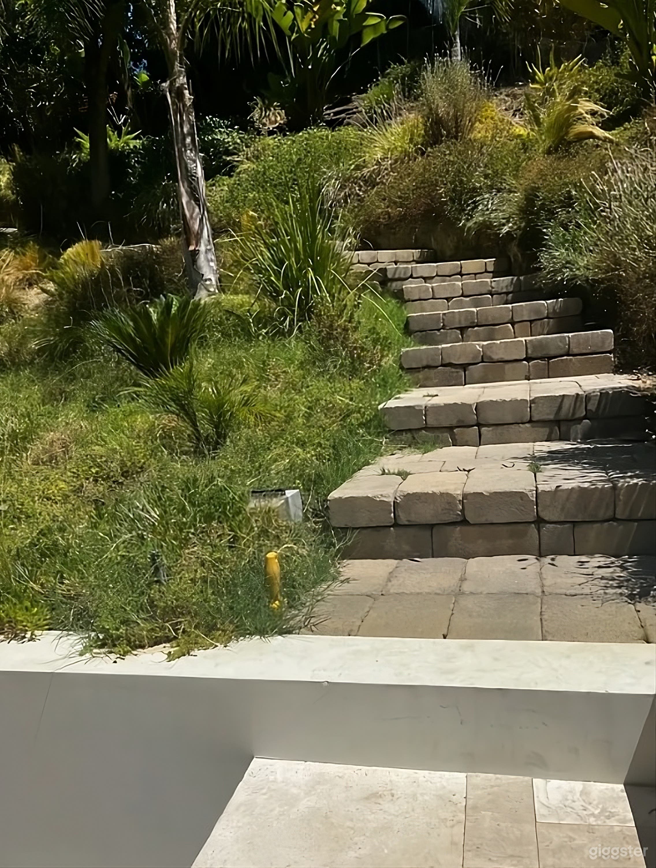 Modern Resort Style Backyard Photo 2