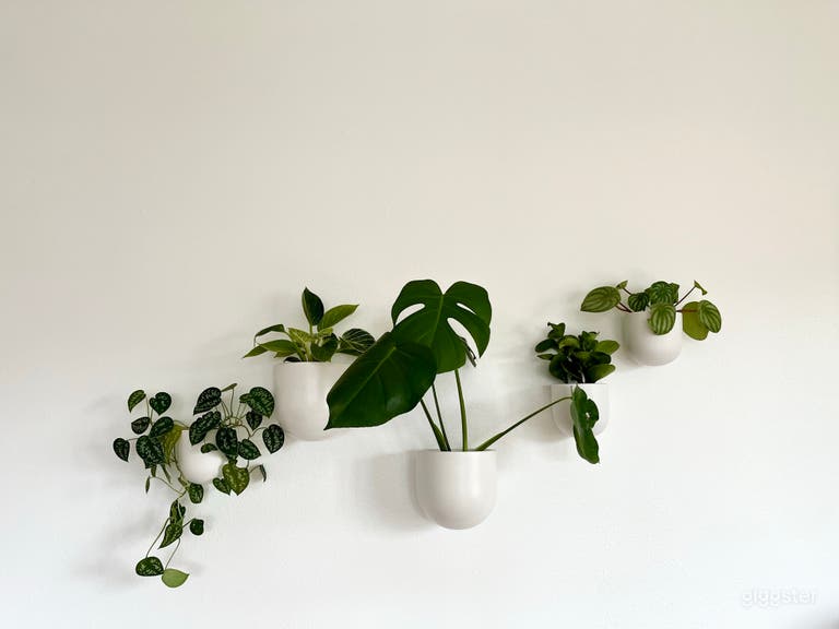  Boutique Light Filled Seattle Pilates Studio 