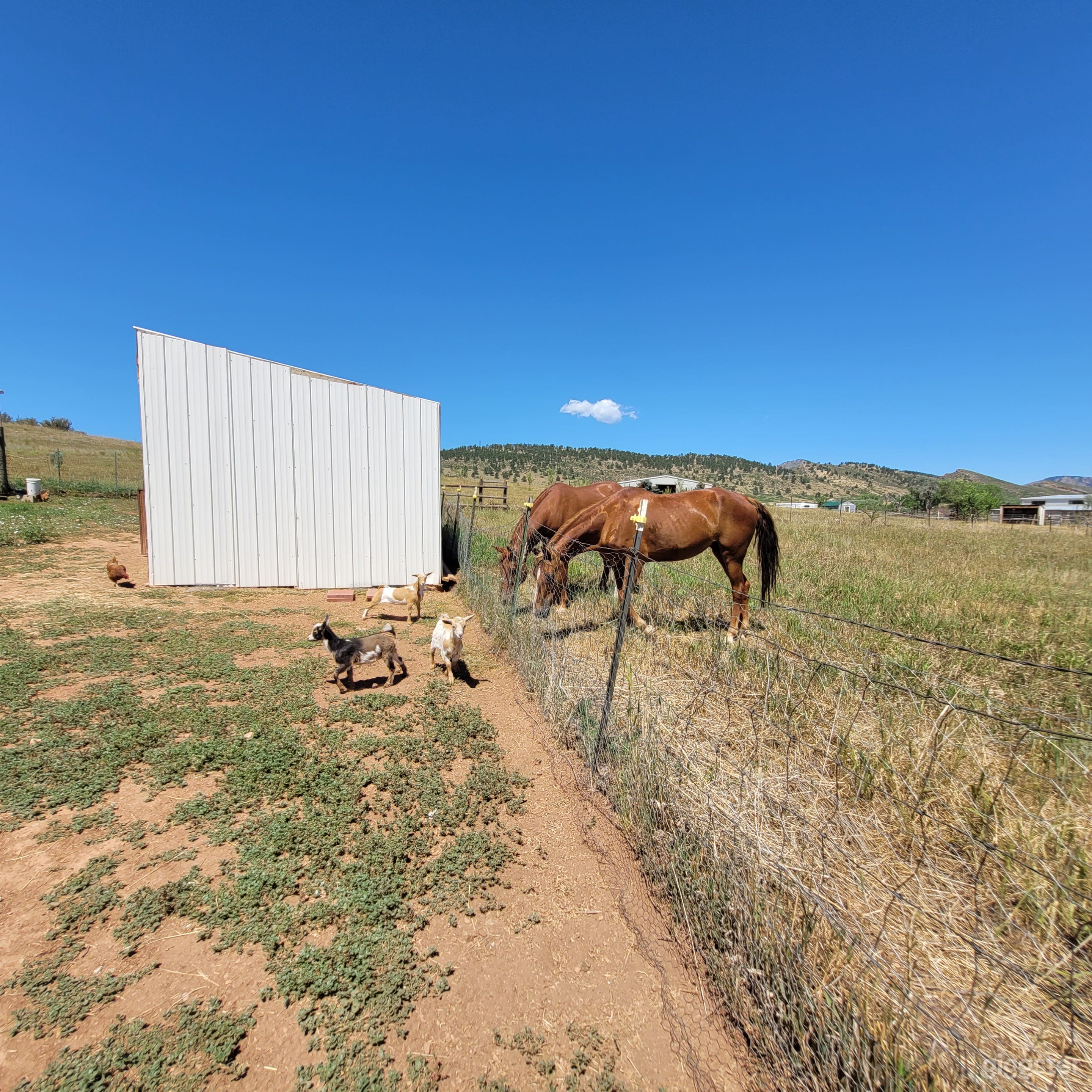 Mountainous Horse Property for Film &amp; Photoshoots Photo 3