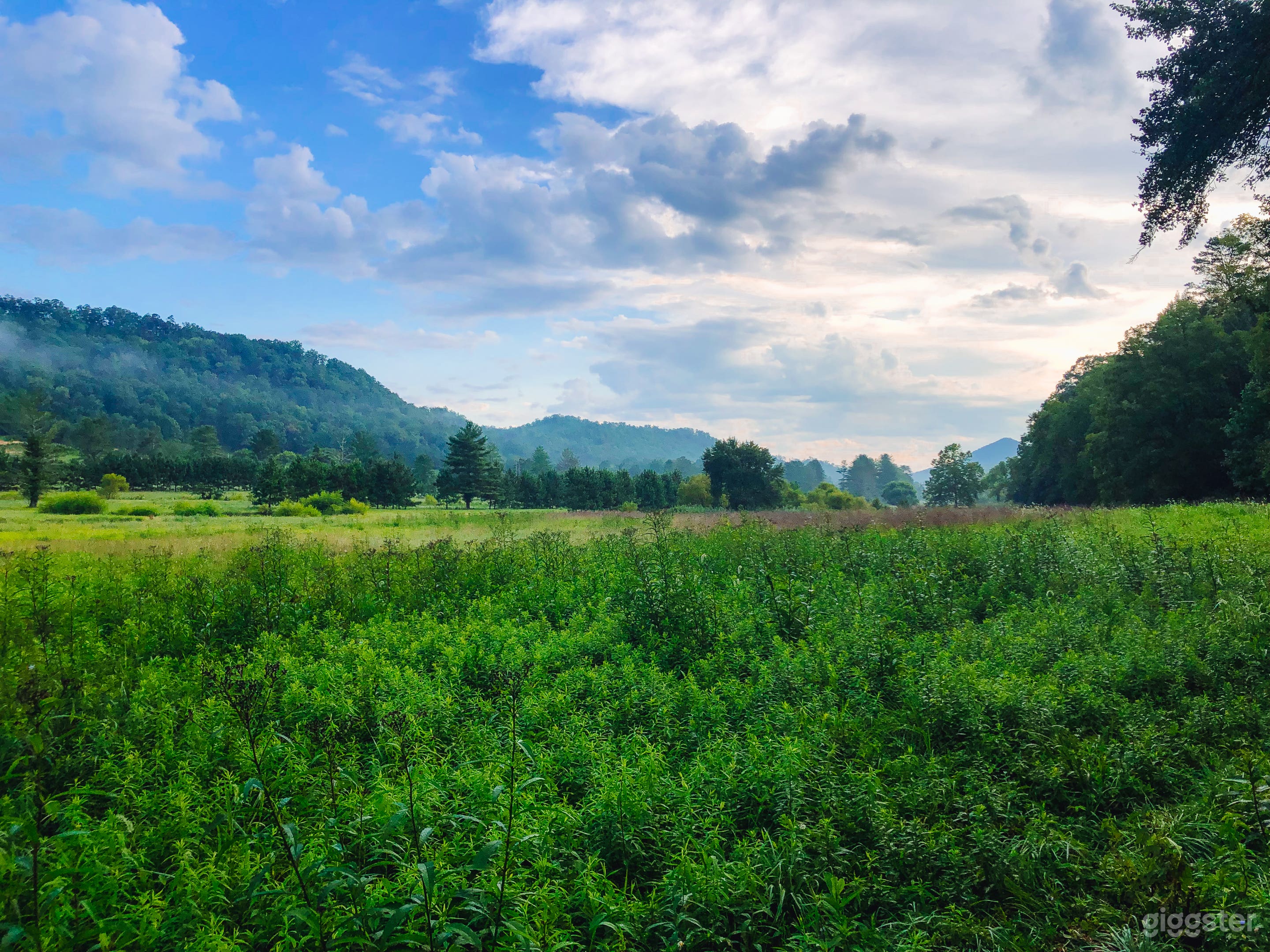 Valley in front of property