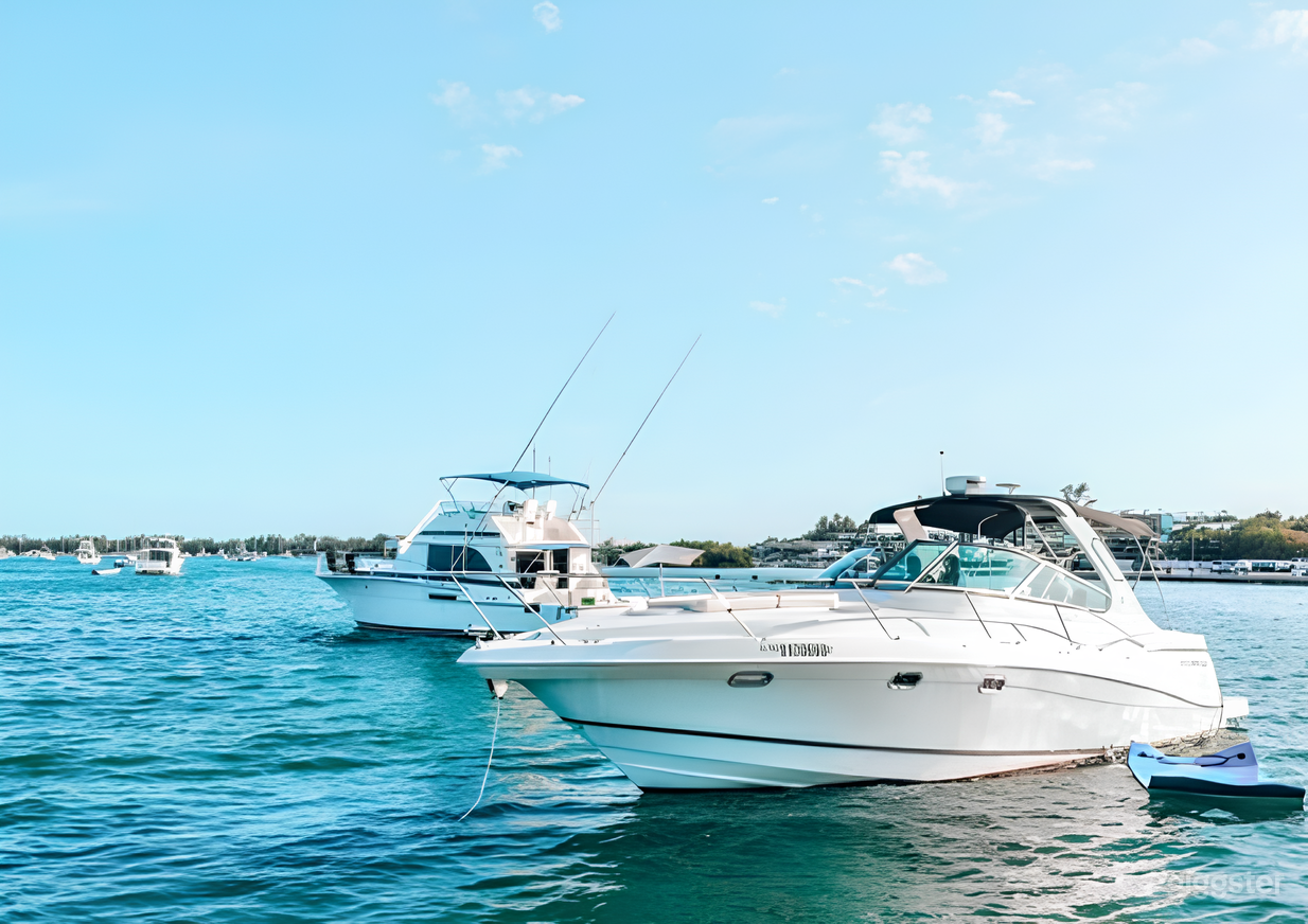 Four Wings 42” Yacht Photo 3