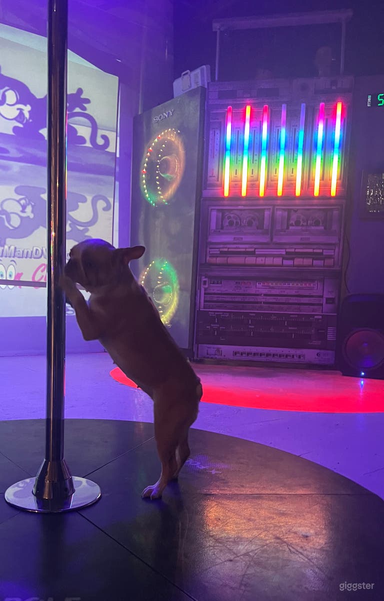  6000 Sqft East Van Creative Studio 