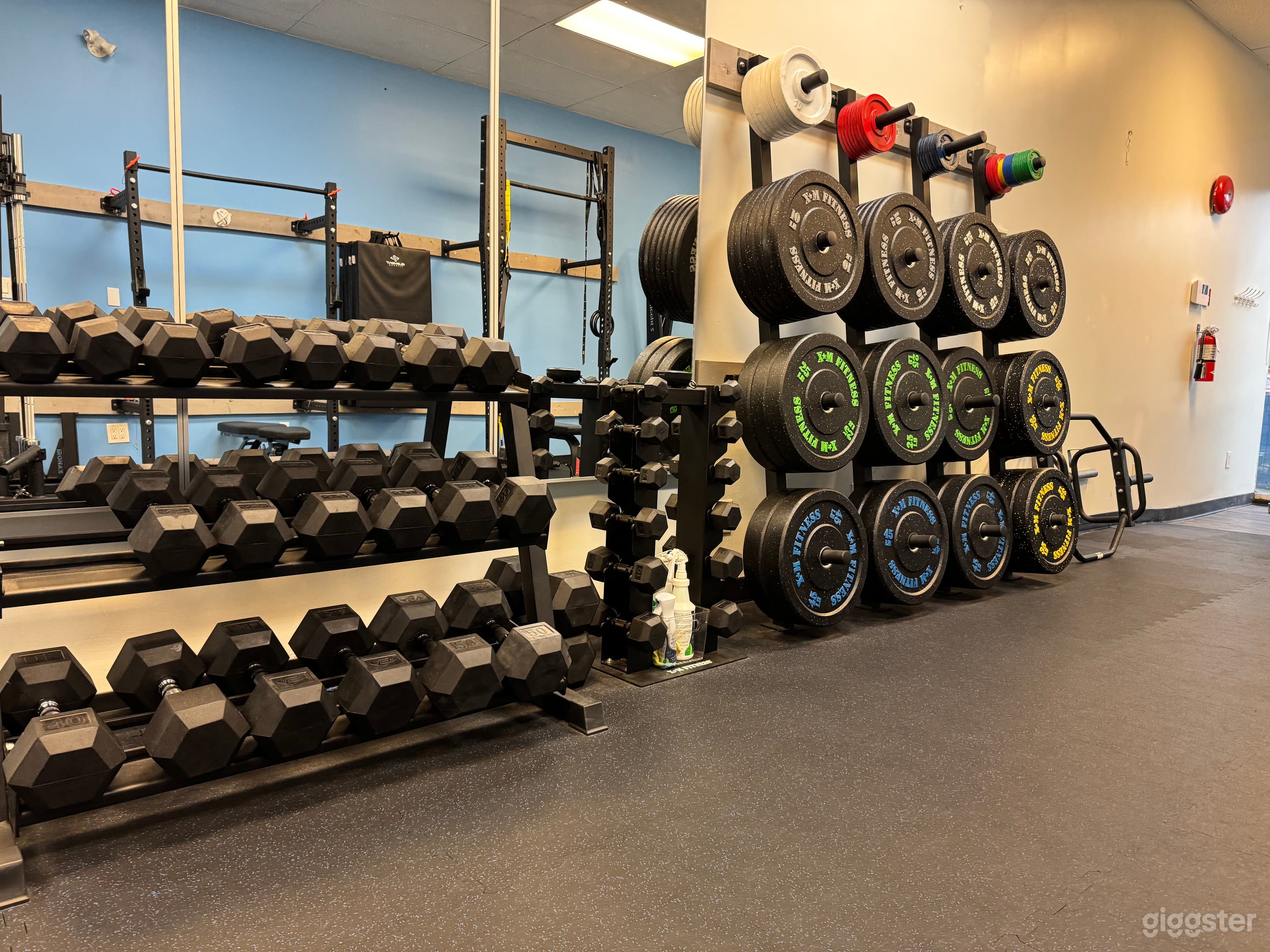 Studio Rental – Boutique 850 sqft Strength &amp; Wellness Photo 4