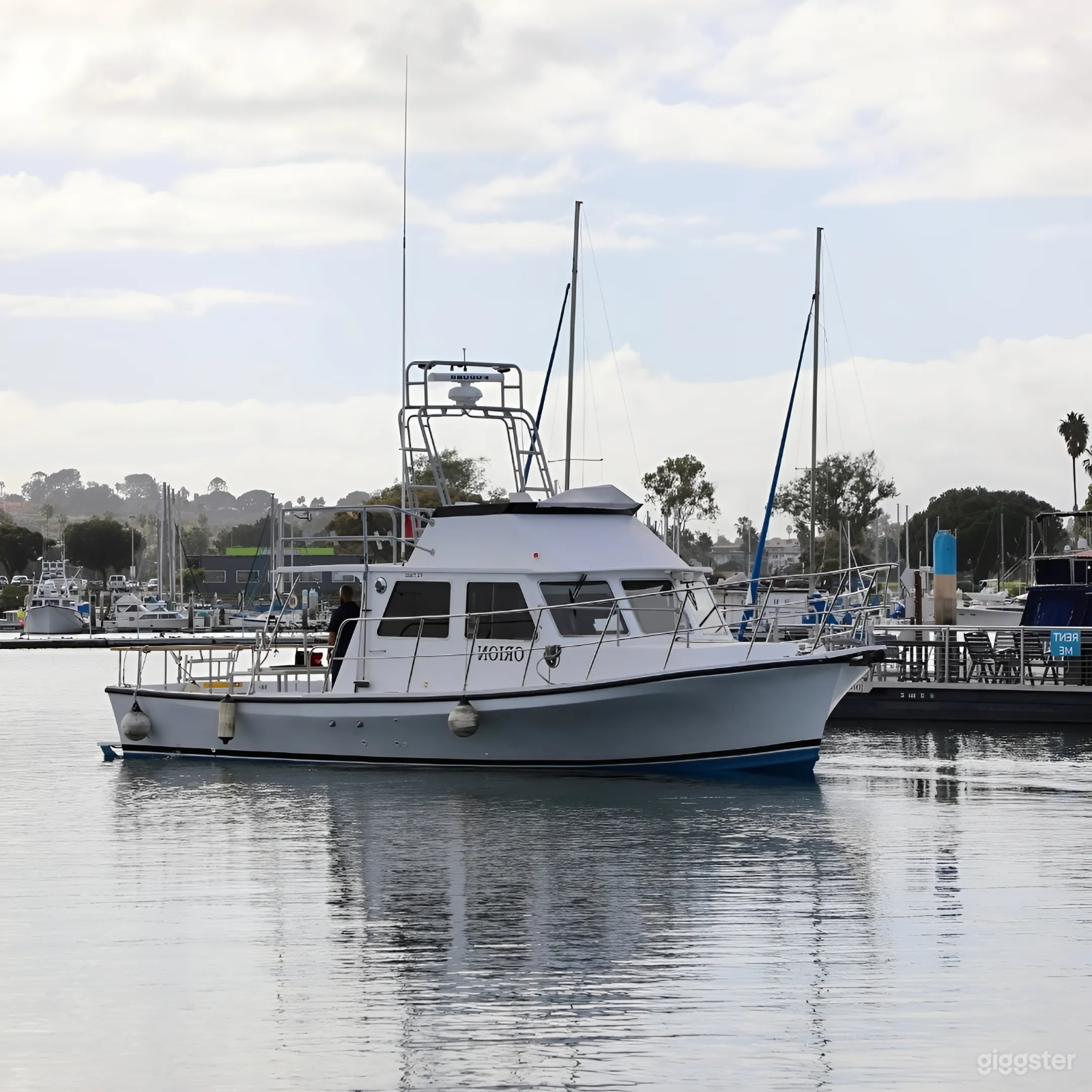 36' Newton Gem - The Orion Photo 4