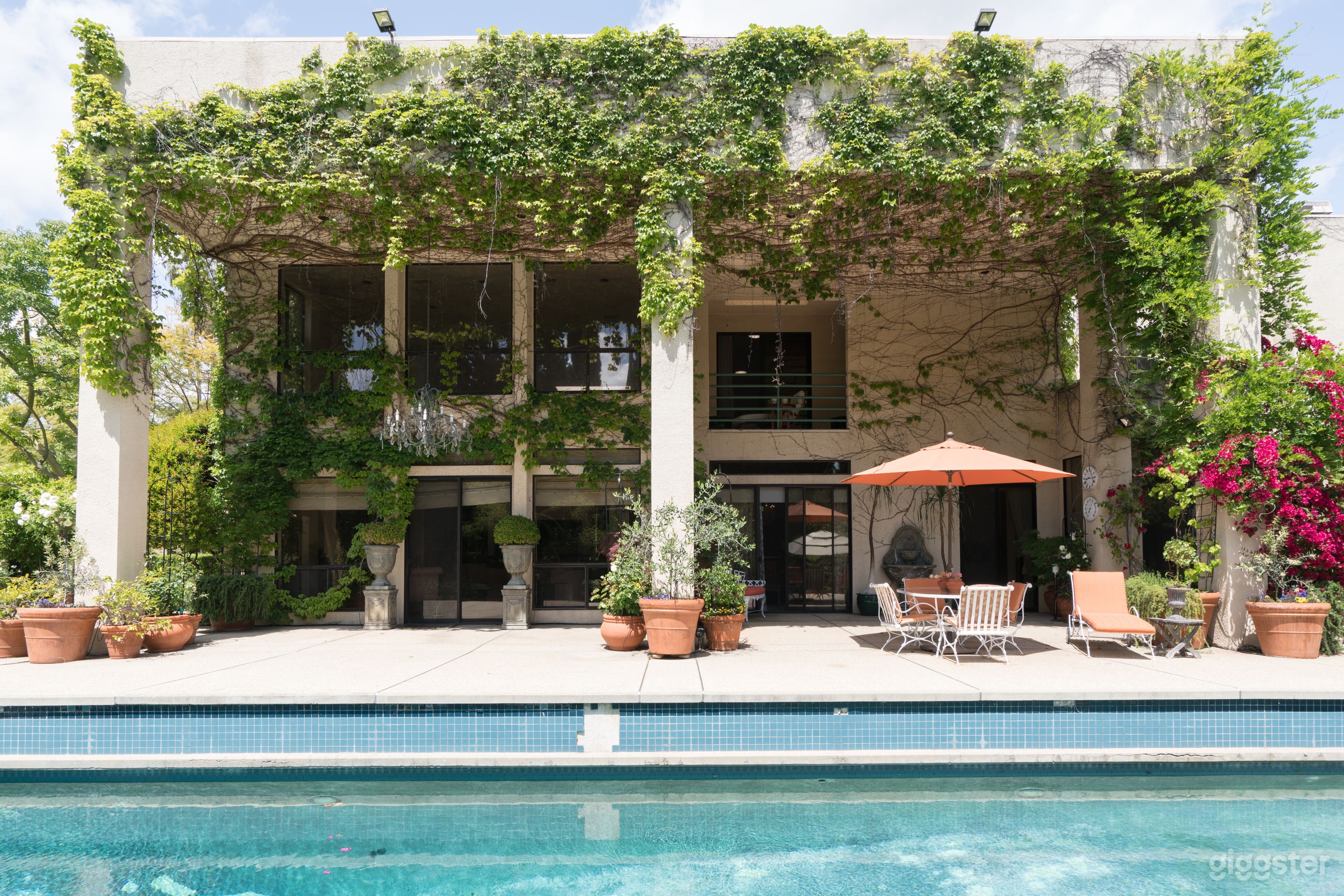 Ivy Covered Dream  Photo 2