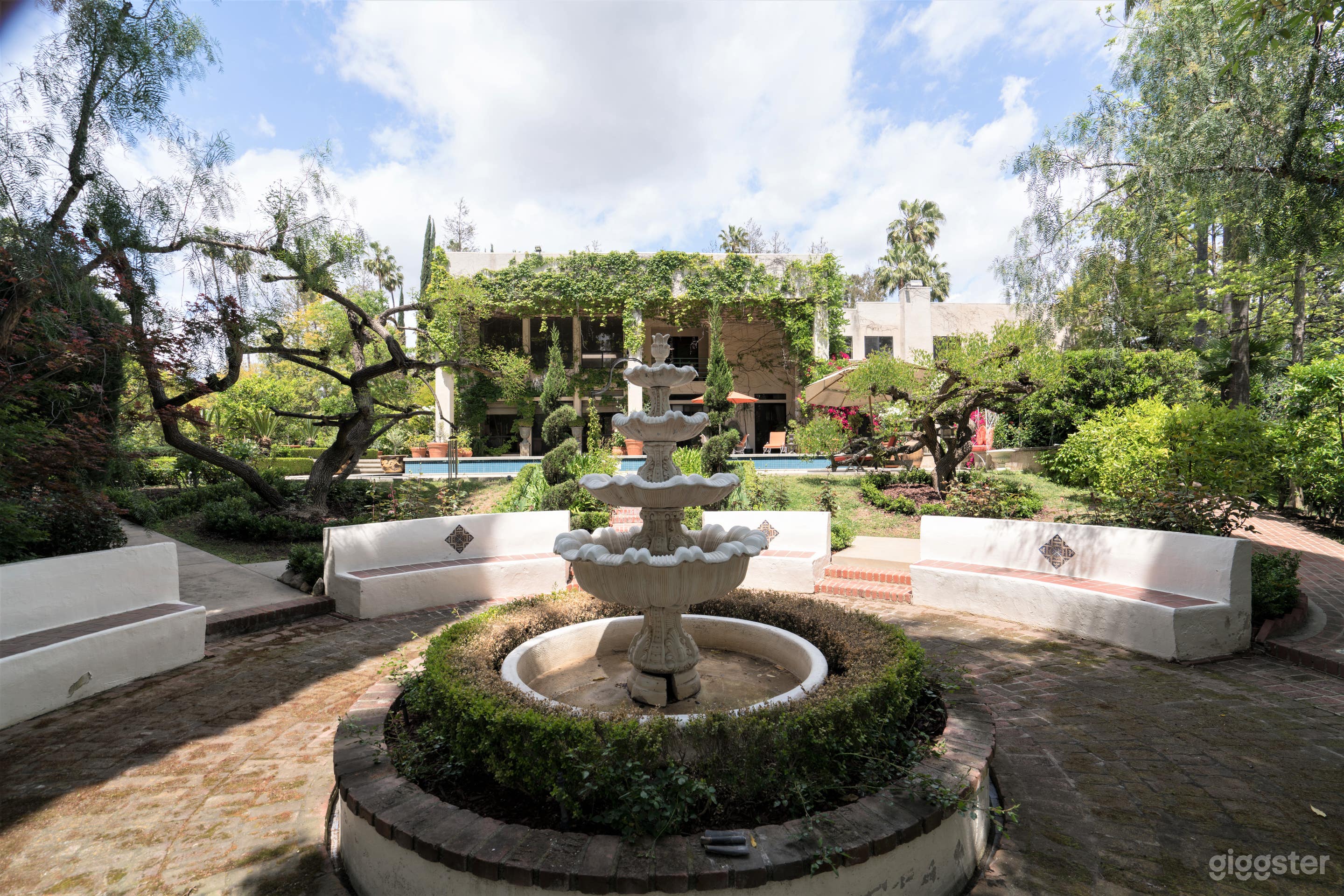 Ivy Covered Dream  Photo 1