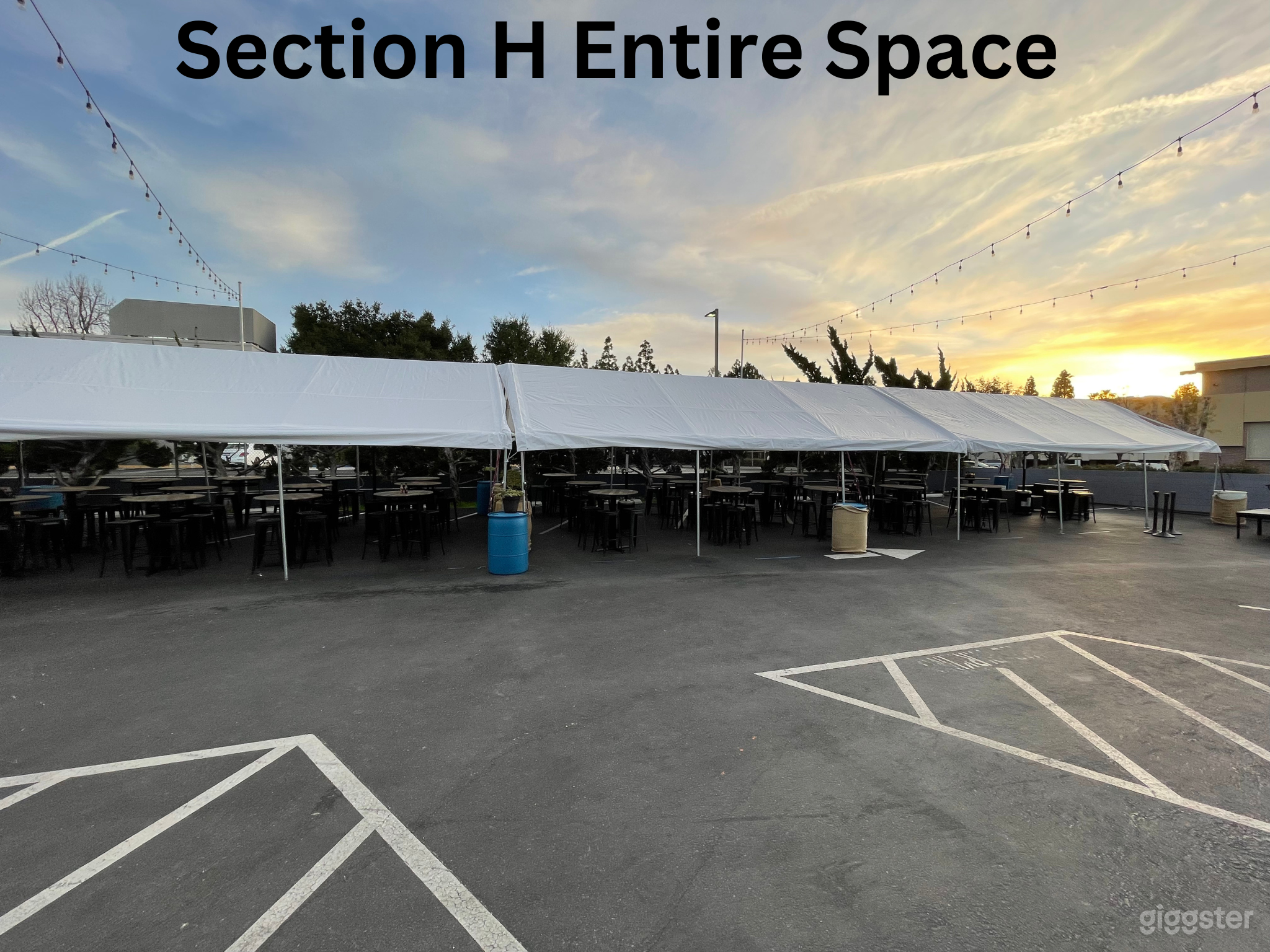 Brewery Biergarten Photo 4