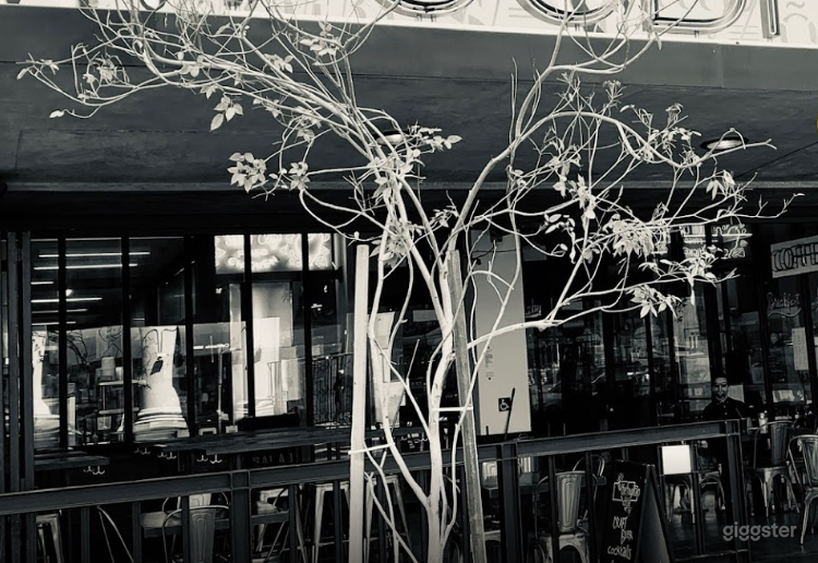 Welcoming &amp; Atmospheric Cafe in LA Photo 1