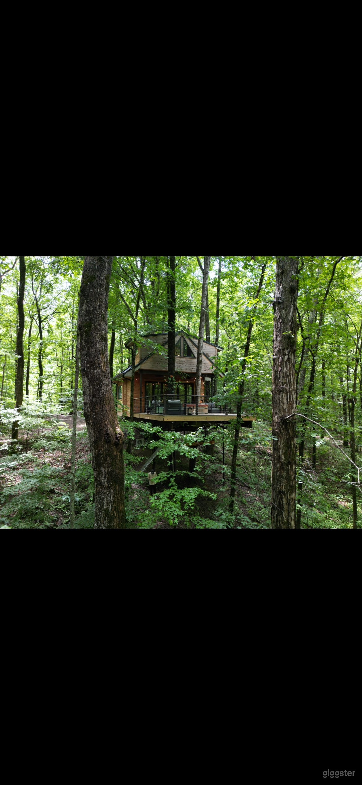 Acreage w/ old growth forest, farmhouse, treehouse Photo 1