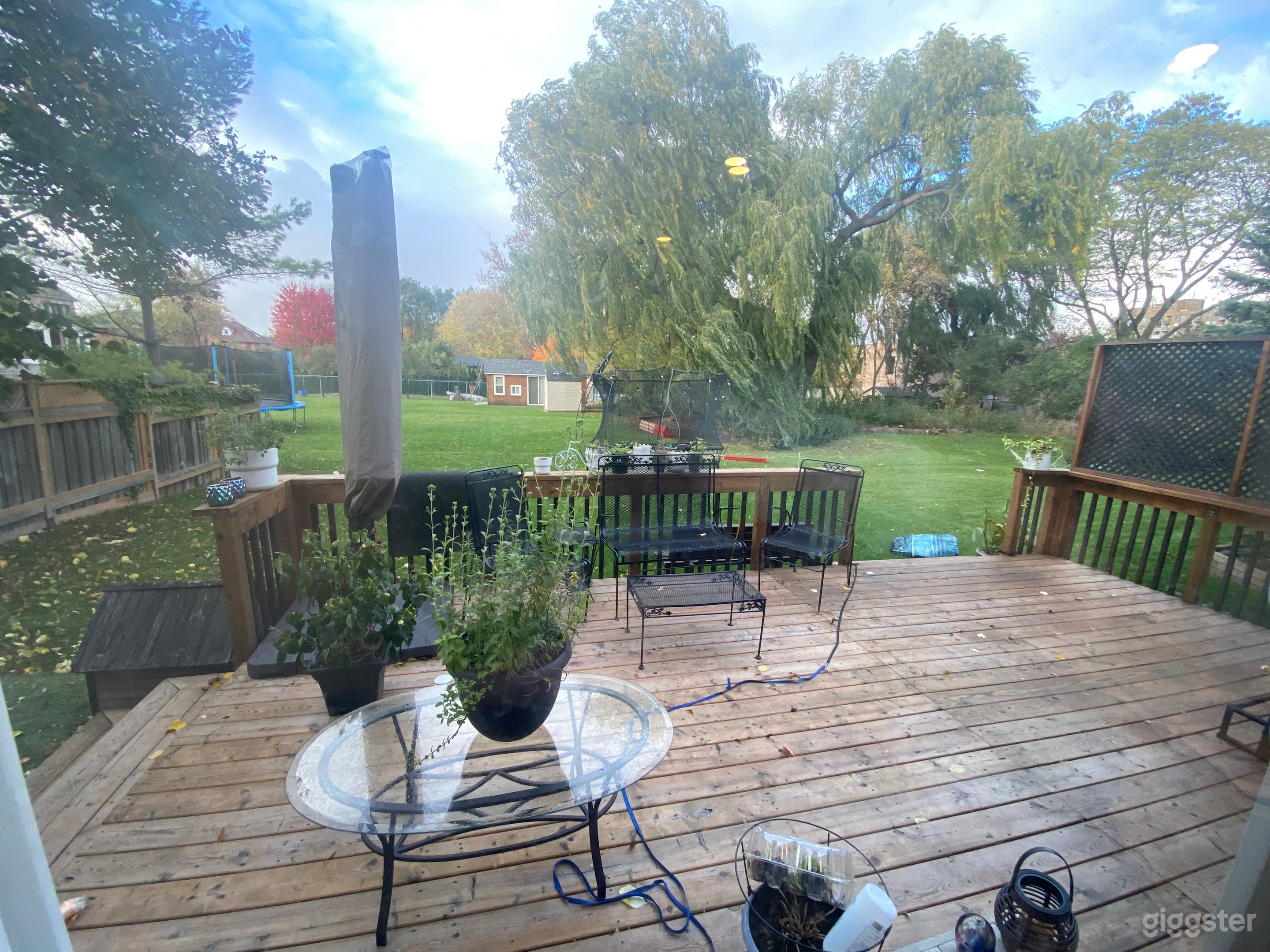 Backyard and deck