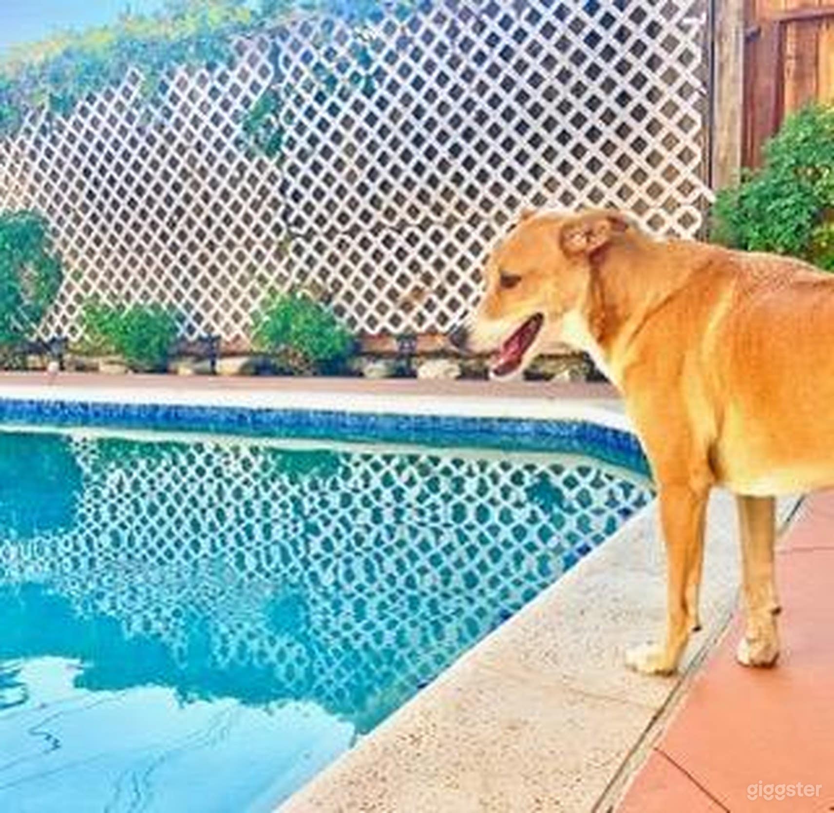 Swimming Pool only Rental in a Bungalow House in West Hills Photo 1