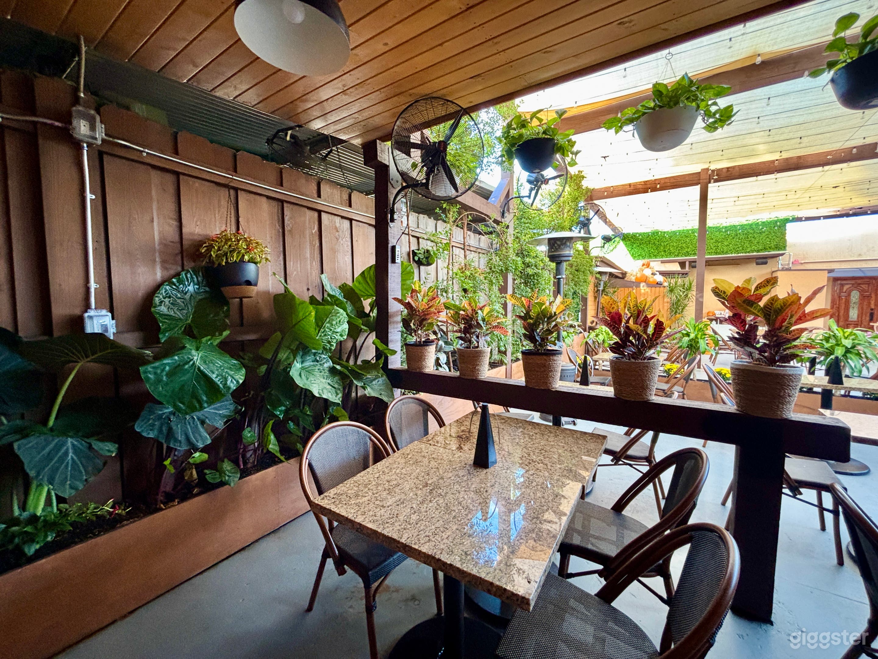 French Coffee Shop and Patio with lush greenery Photo 4