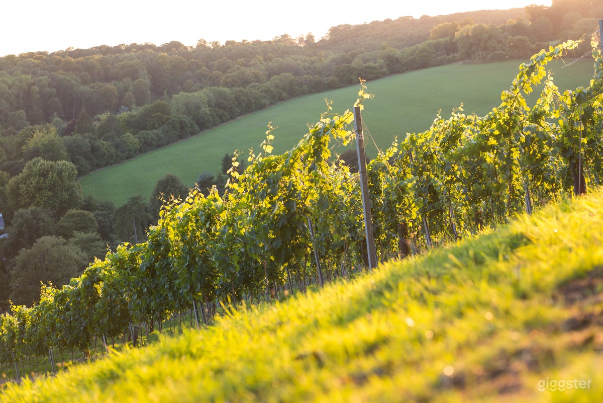 Gorgeous Vineyard Henley on Thames Photo 2