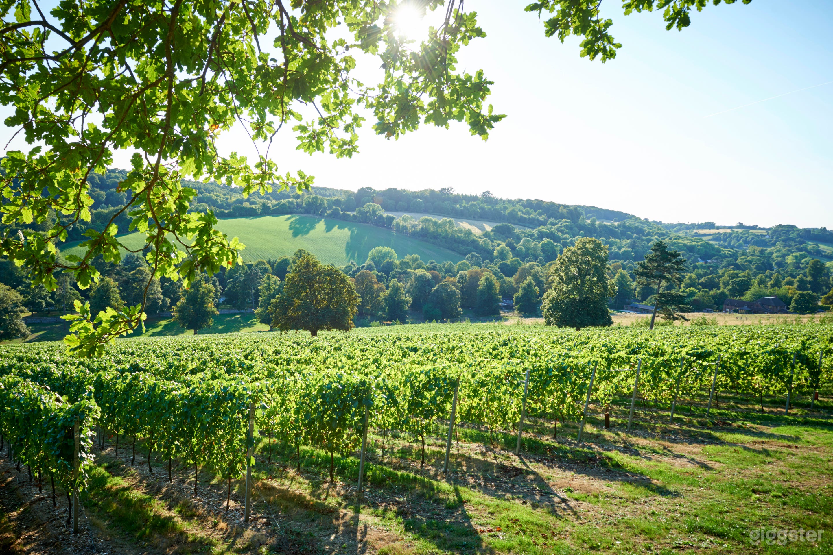 Gorgeous Vineyard Henley on Thames Photo 3