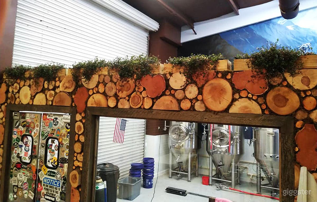 Started growing live foliage to fill up on top wall. It's growing slow by steady!