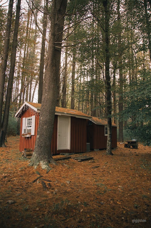 Timber Frame Cabin with Exposed Beams &amp; Scandi Vibe Photo 3