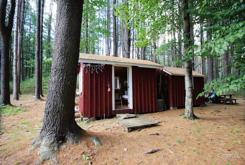 Timber Frame Cabin with Exposed Beams &amp; Scandi Vibe Photo 4