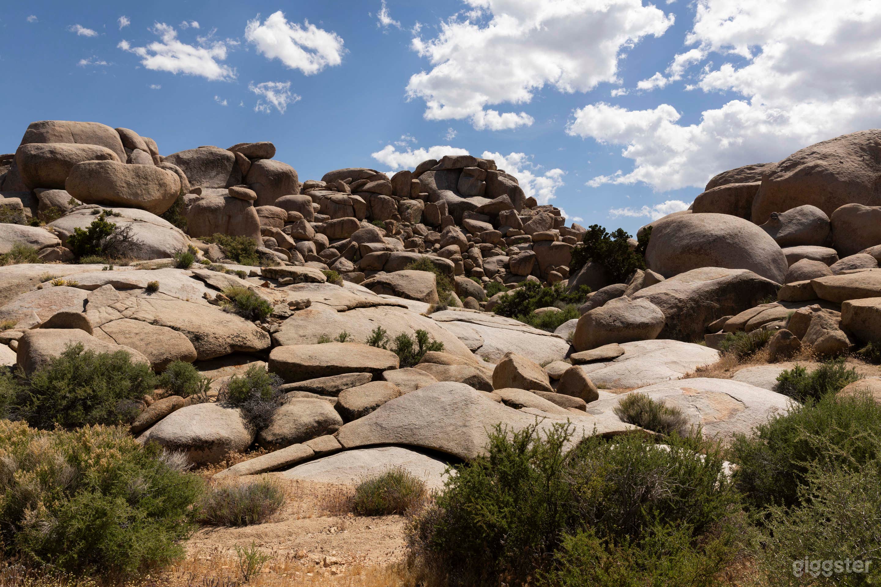 Joshua Tree National Park Look Alike (Private Land) Photo 2