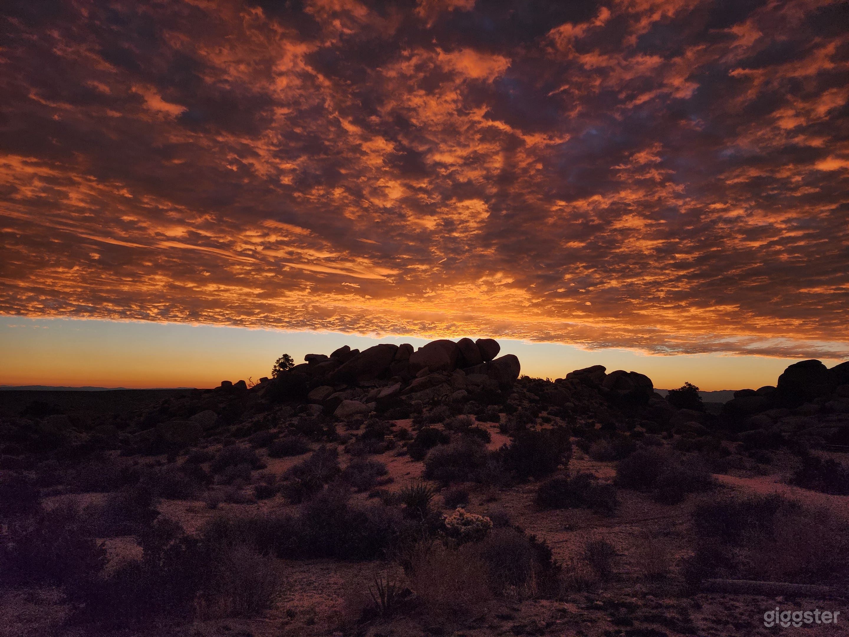 Joshua Tree National Park Look Alike (Private Land) Photo 3