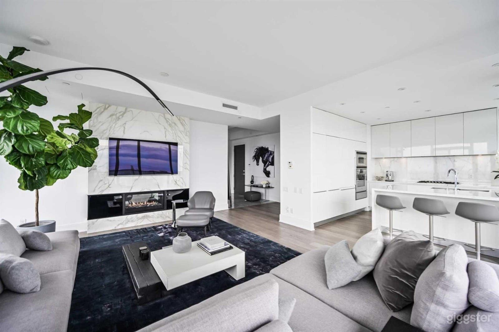 Luxurious Downtown Toronto Penthouse – The Ultimate Video &amp; Photoshoot Location Photo 3