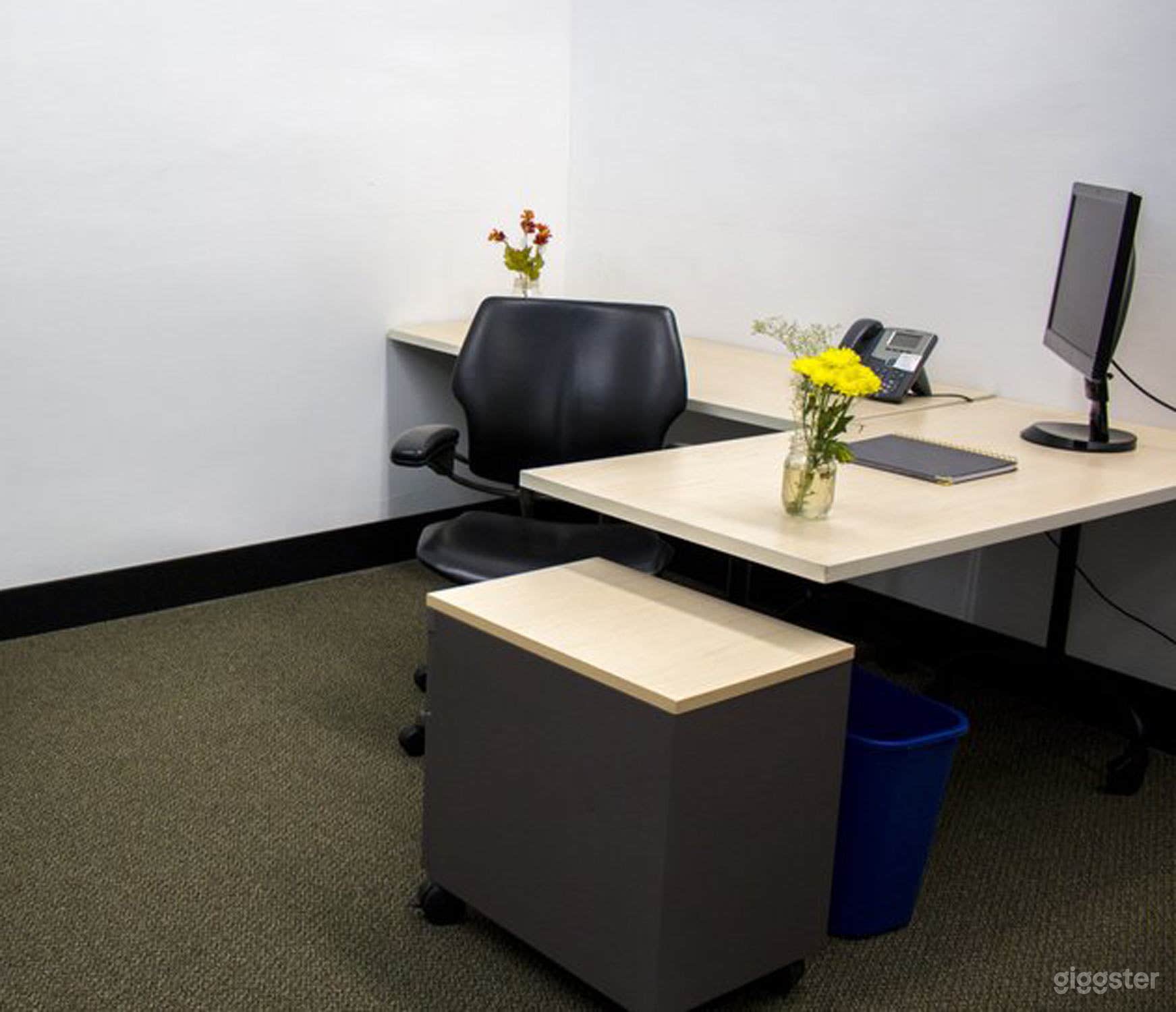 Well-kept Private Offices in Gilroy Photo 3