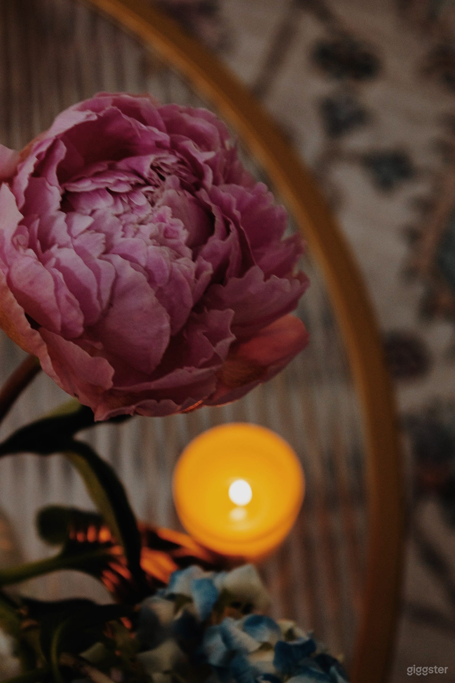 Sunlit Mission District Loft with 20-Foot Ceilings Photo 4