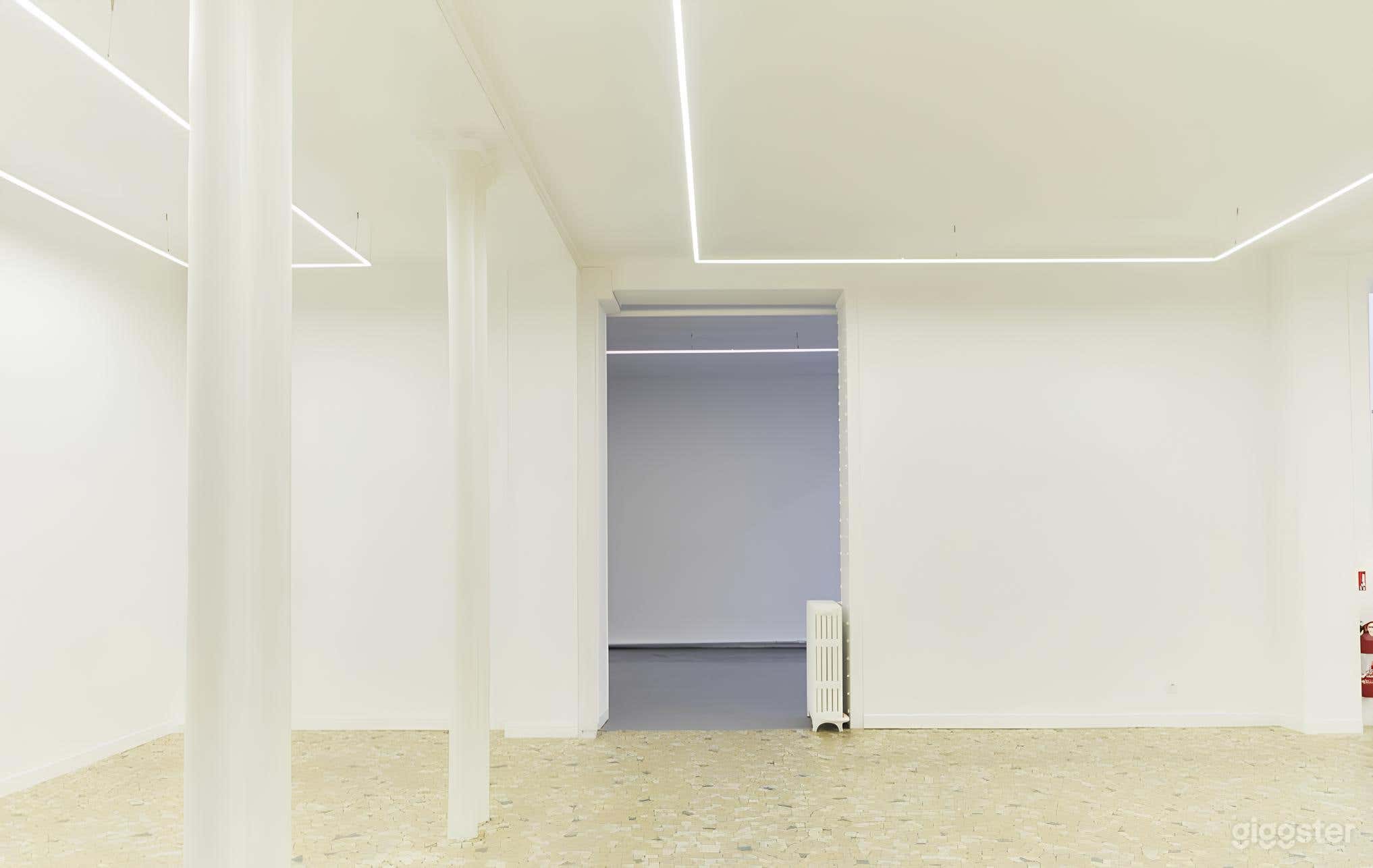 Photo de Galerie élégante à plafond haut 3