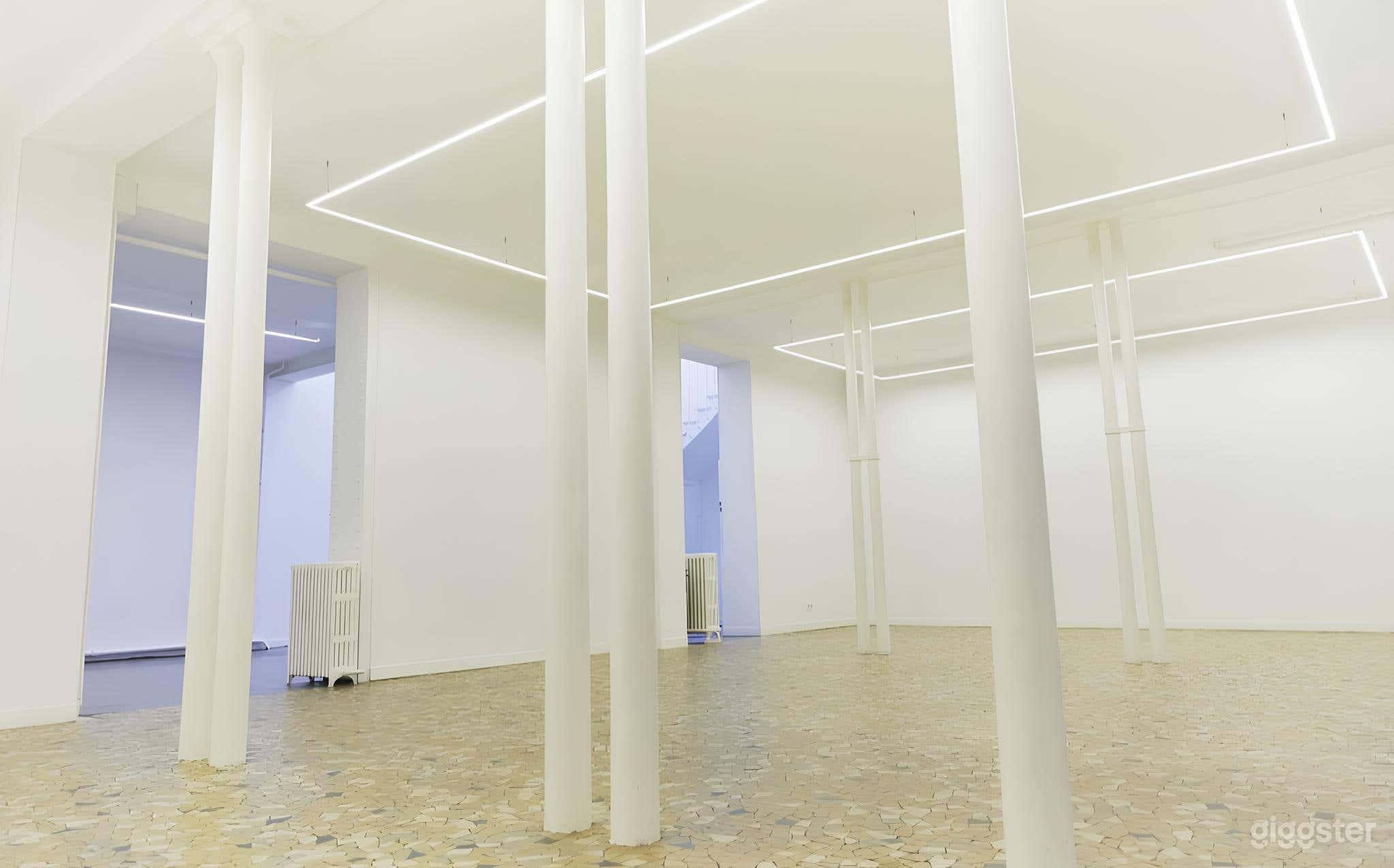 Photo de Galerie élégante à plafond haut 2