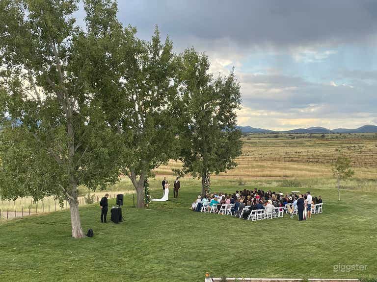  Outside Lawn/Grassy Area 